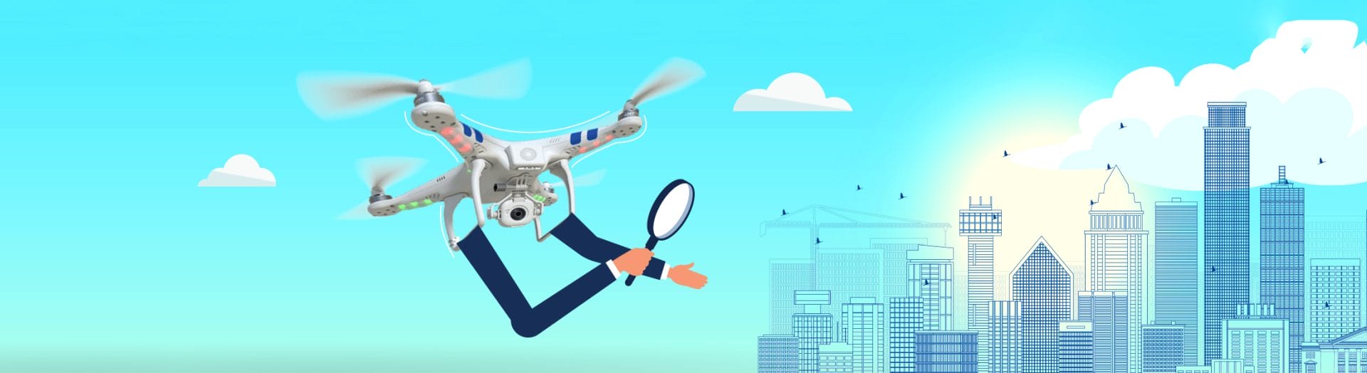 Drone Inspection