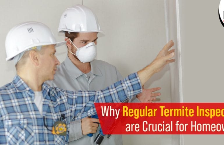 termite inspection