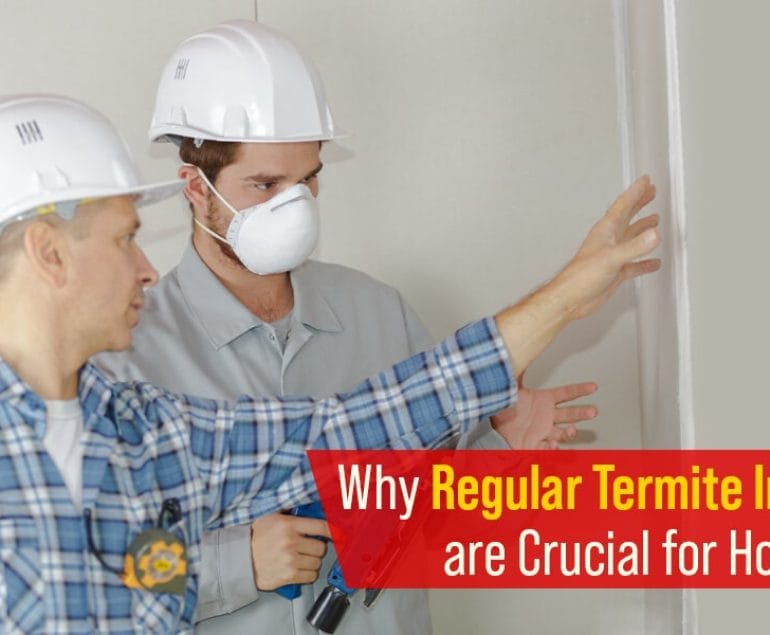 termite inspection