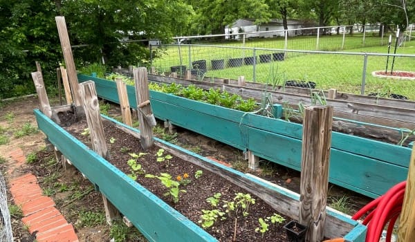 Raised-Garden-Bed-3
