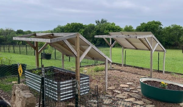 Raised-Garden-Bed-5