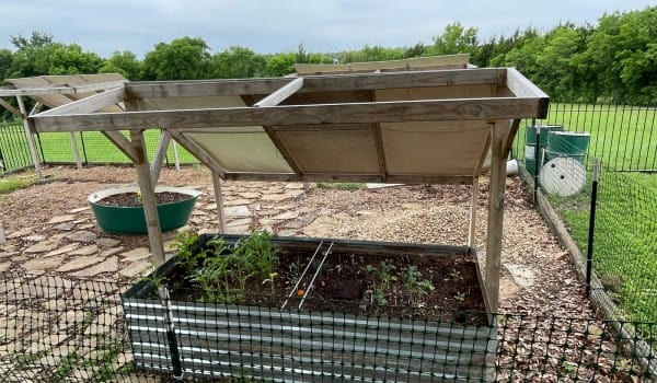 Raised-Garden-Bed-6