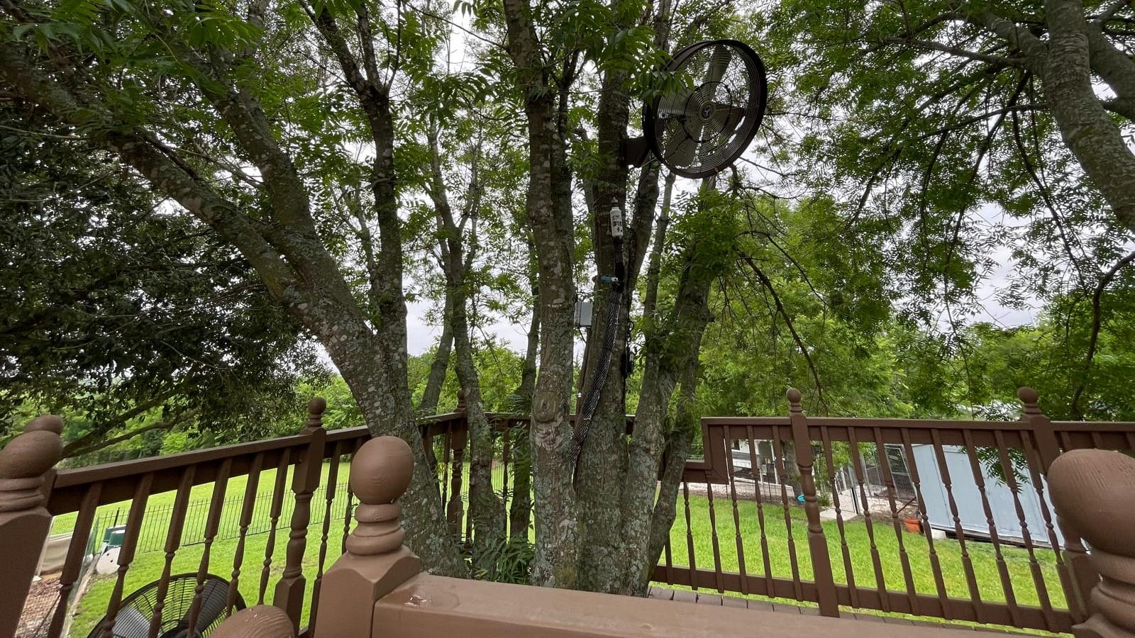 Tree-House-10