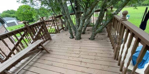 Tree-House-7
